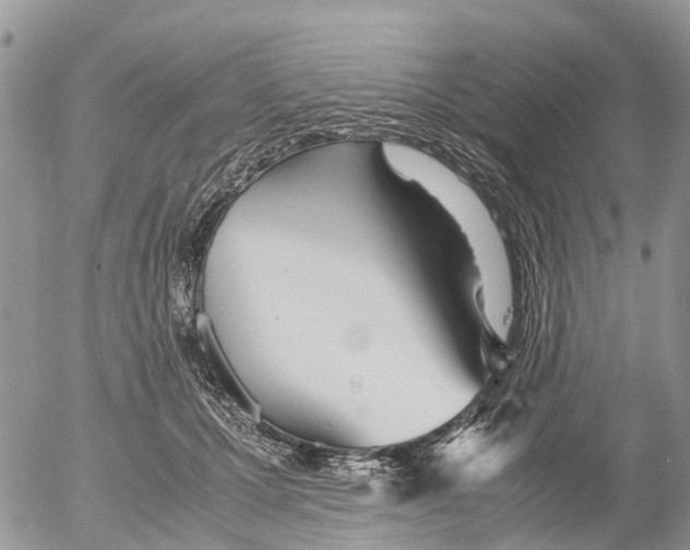 X0000052560607200507291943