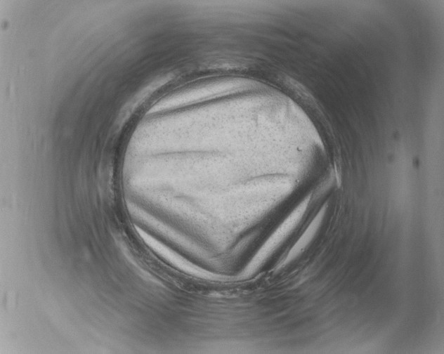X0000052560627200507291942