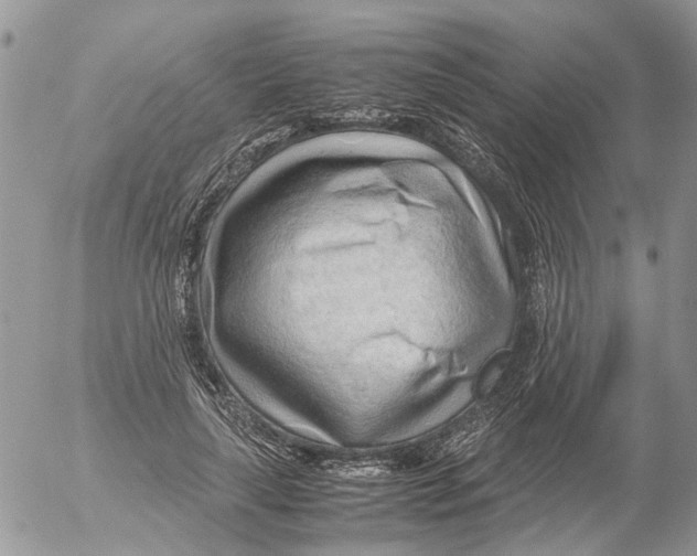 X0000052560643200507291942