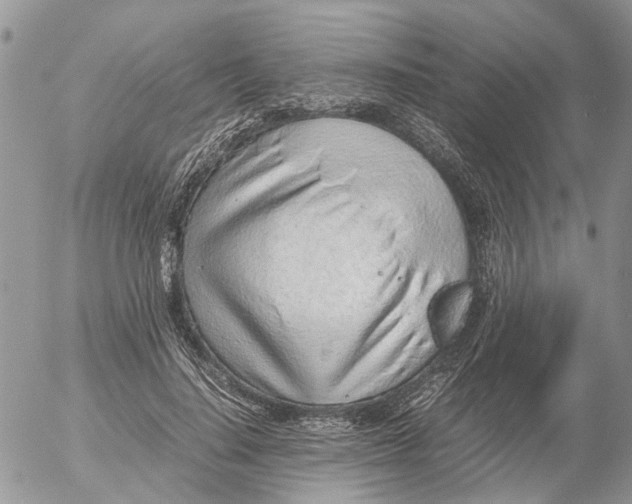 X0000052560644200507291942