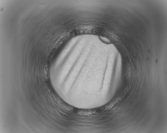 X0000052560661200507291942
