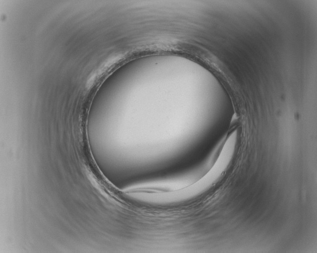 X0000052560677200507291942