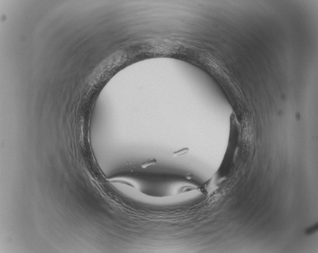 X0000052560685200507291941