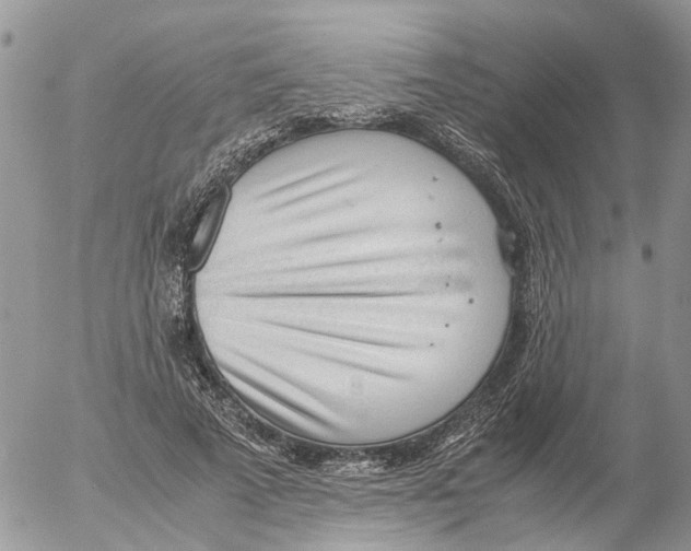 X0000052560689200507291941