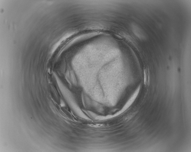 X0000052560723200507291940