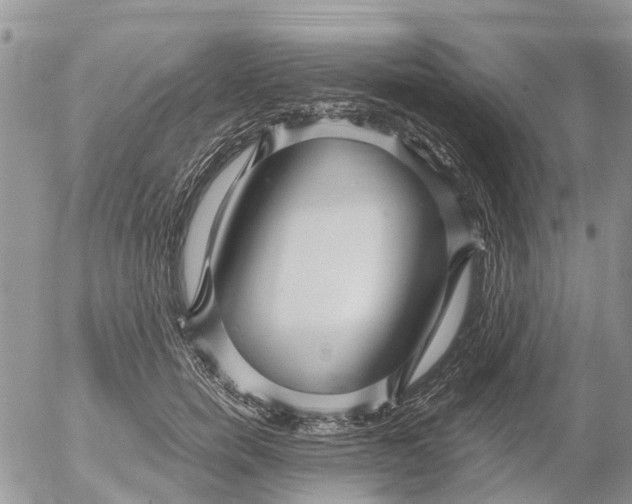 X0000052560750200507291941
