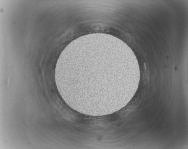 X0000052560769200507291940