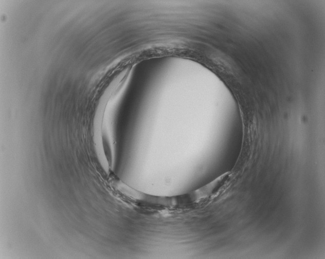 X0000052560822200507291939