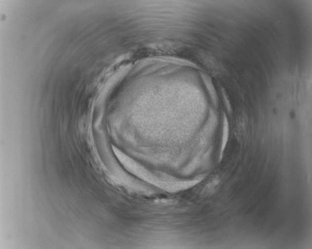 X0000052561010200507291935