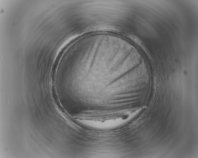 X0000052561024200507291936