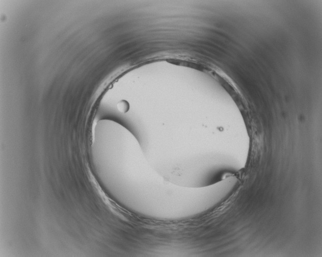 X0000052561050200507291936