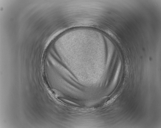 X0000052561077200507291935