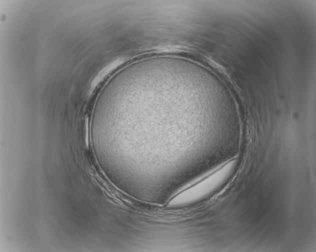 X0000052561171200507291933
