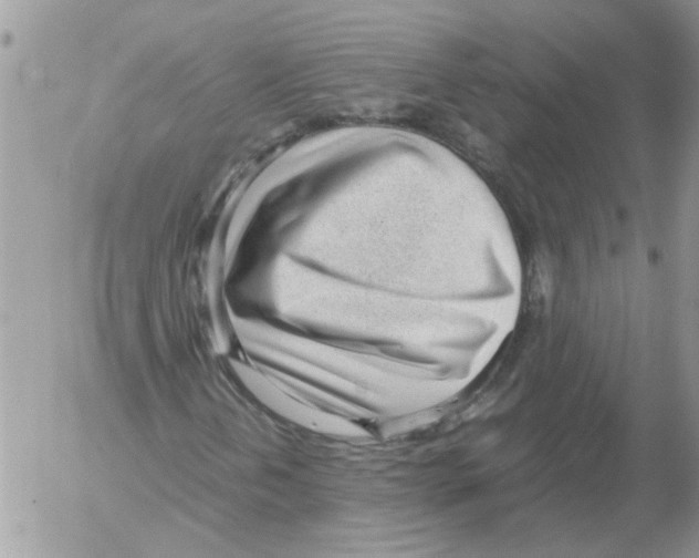 X0000052561202200507291932