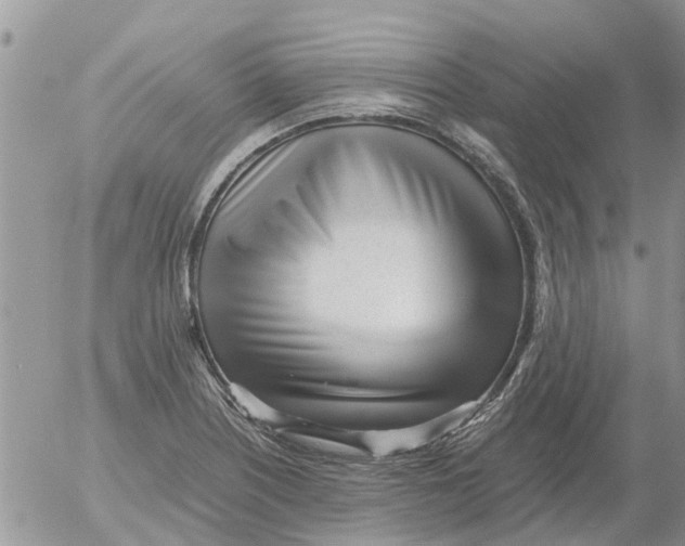 X0000052561226200507291933