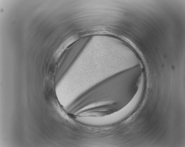 X0000052561289200507291931