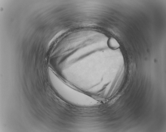 X0000052561306200507291931
