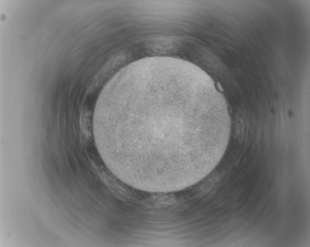 X0000052561346200507291930