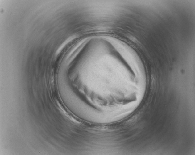 X0000052561450200507291929