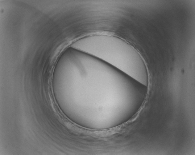 X0000052570001200507010856