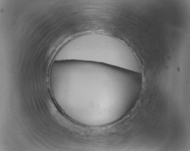 X0000052570002200507010856