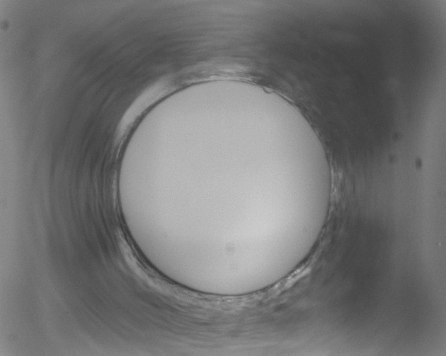 X0000052570004200507010856