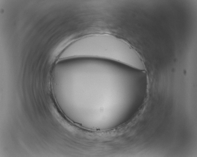 X0000052570005200507010856