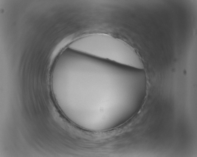 X0000052570006200507010856