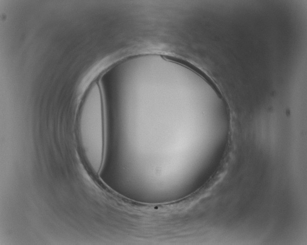 X0000052570007200507010856