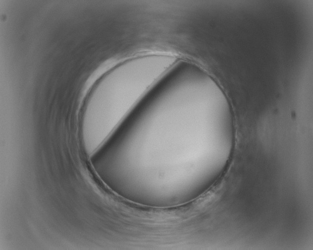 X0000052570008200507010856