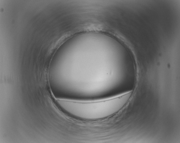 X0000052570009200507010856