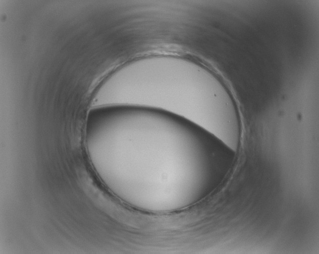 X0000052570010200507010856