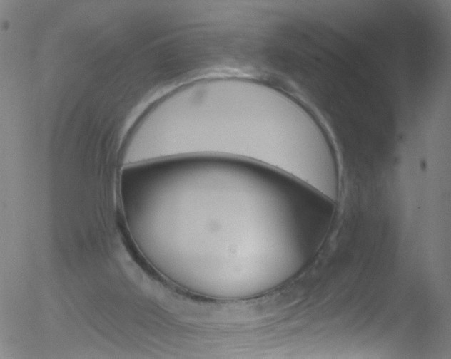 X0000052570011200507010856