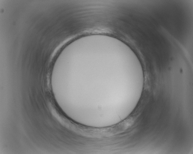 X0000052570012200507010856