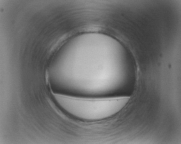 X0000052570013200507010856