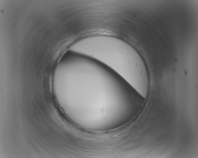 X0000052570014200507010856