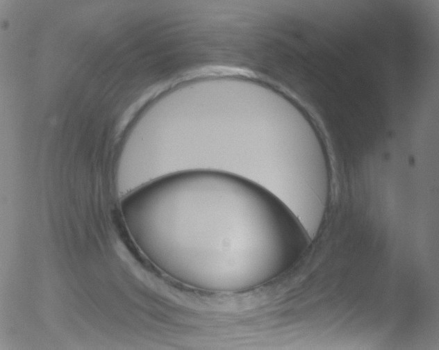 X0000052570015200507010856