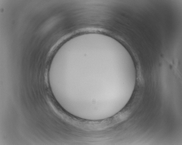 X0000052570016200507010856