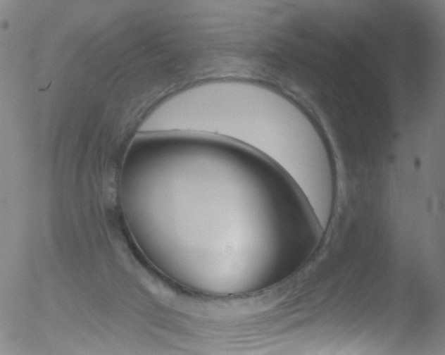 X0000052570017200507010856