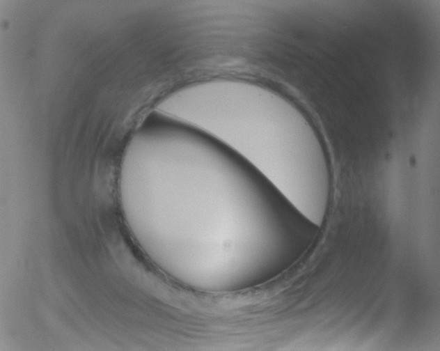 X0000052570018200507010856