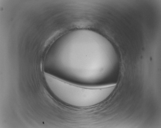 X0000052570019200507010856