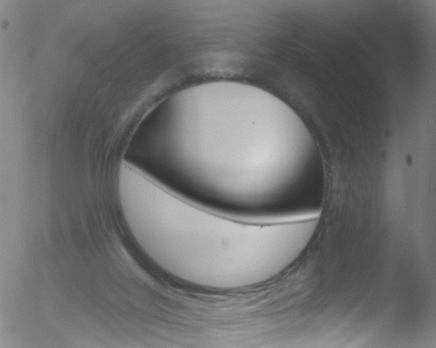 X0000052570020200507010856