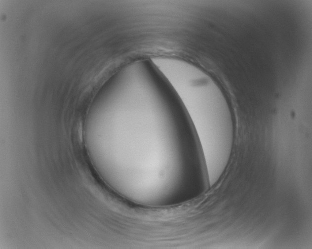 X0000052570021200507010856