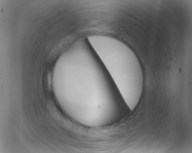 X0000052570022200507010856