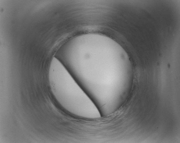 X0000052570024200507010856