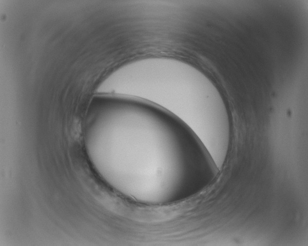 X0000052570025200507010856