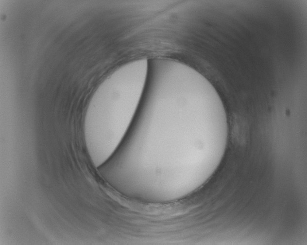 X0000052570026200507010856