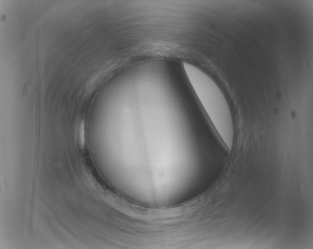 X0000052570027200507010856