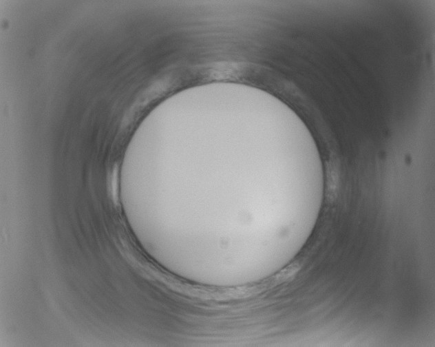 X0000052570028200507010856