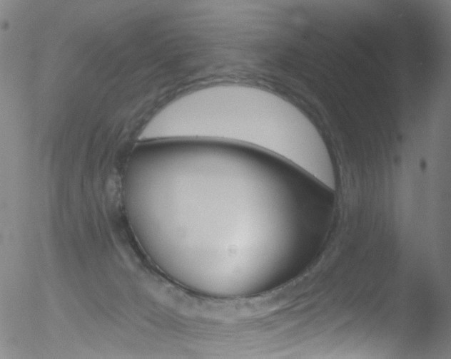 X0000052570029200507010856